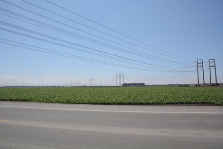 Enlarge photo 47