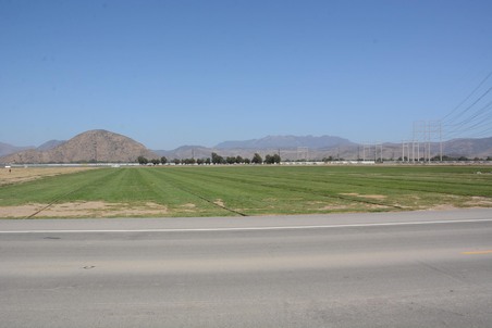 Enlarge photo 51