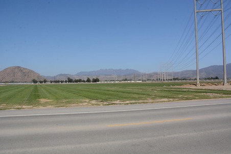 Enlarge photo 55