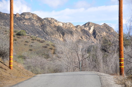 Enlarge photo 4