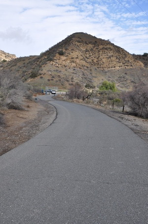 Enlarge photo 11