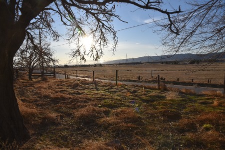 Enlarge photo 29