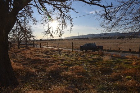 Enlarge photo 30