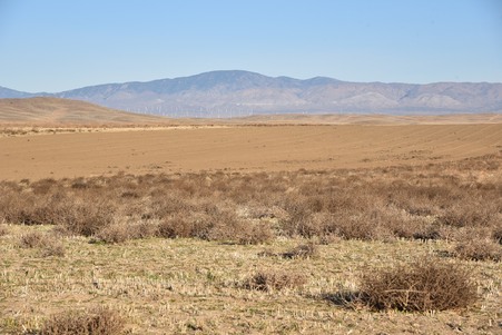 Enlarge photo 36