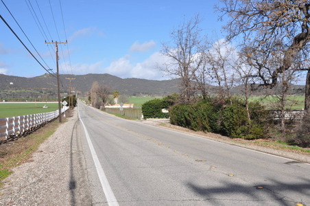 Enlarge photo 15
