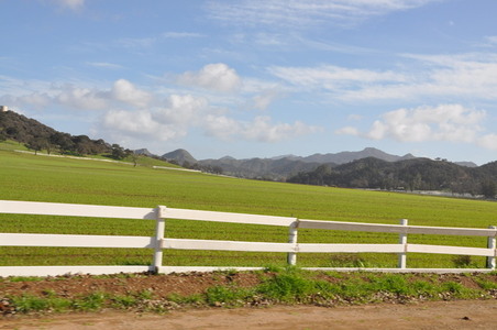Enlarge photo 33