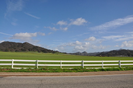 Enlarge photo 35