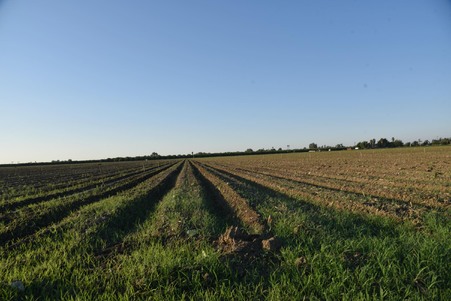 Enlarge photo 30