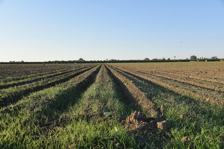 Enlarge photo 31