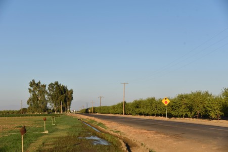 Enlarge photo 32
