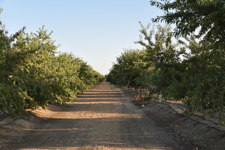 Enlarge photo 33