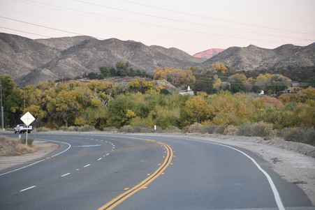 Enlarge photo 16