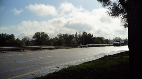 Enlarge photo 51