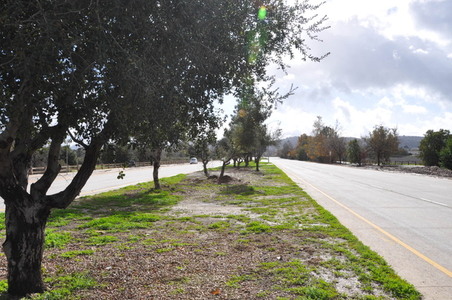 Enlarge photo 16