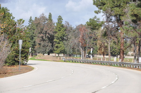 Enlarge photo 25