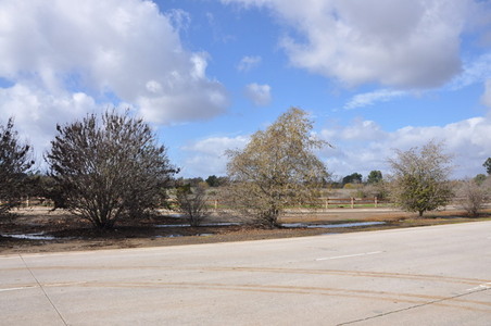 Enlarge photo 32