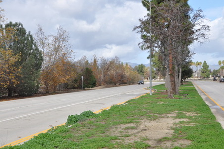 Enlarge photo 34