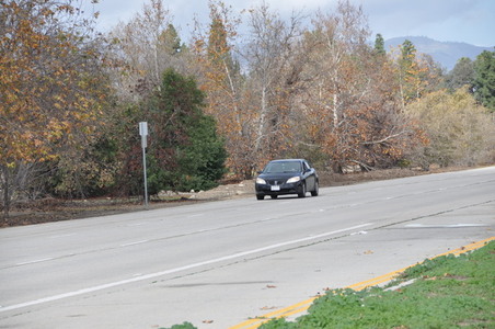 Enlarge photo 35