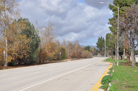 Enlarge photo 37