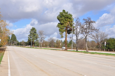 Enlarge photo 39