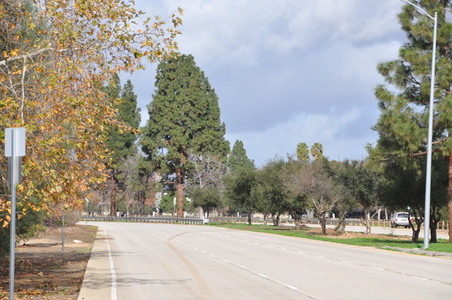 Enlarge photo 40