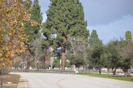 Enlarge photo 41