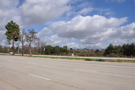 Enlarge photo 42