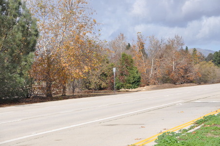 Enlarge photo 44
