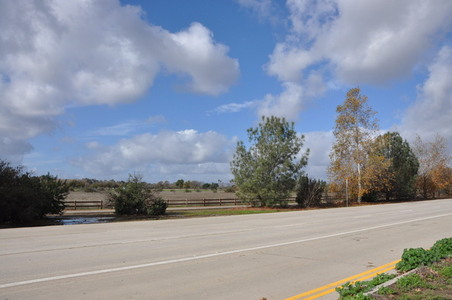 Enlarge photo 45
