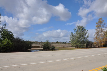 Enlarge photo 46