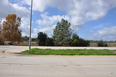 Enlarge photo 48