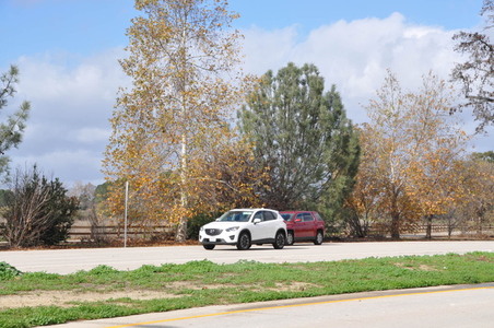 Enlarge photo 49