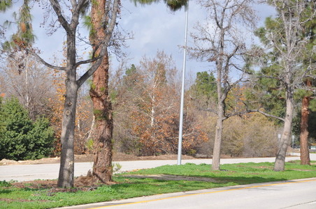 Enlarge photo 50