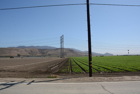 Enlarge photo 7