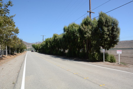 Enlarge photo 31