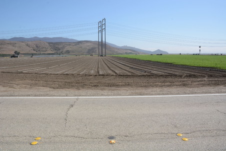 Enlarge photo 32