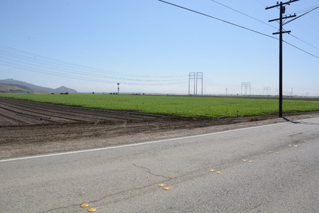 Enlarge photo 33