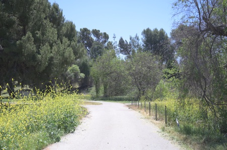 Enlarge photo 3
