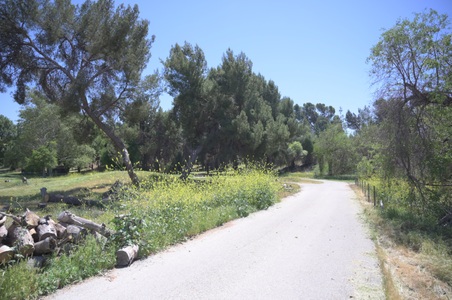 Enlarge photo 7