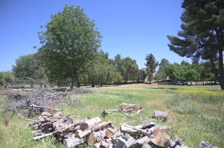 Enlarge photo 4