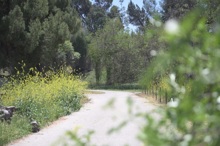 Enlarge photo 14
