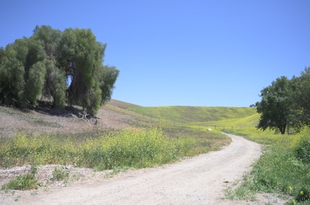 Enlarge photo 15