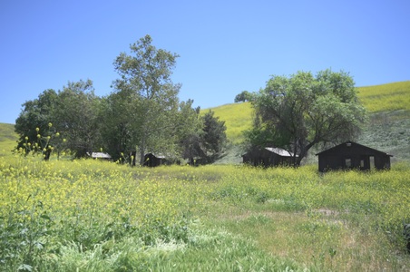 Enlarge photo 16