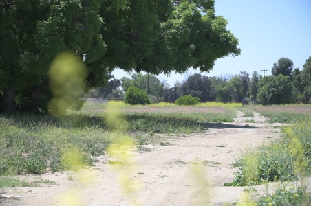 Enlarge photo 19