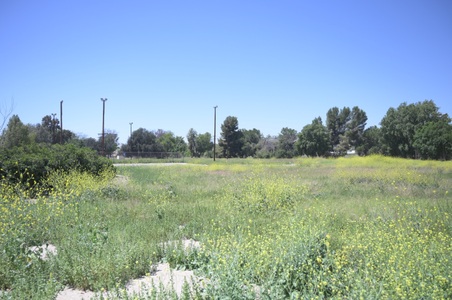 Enlarge photo 31