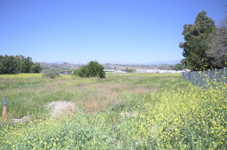 Enlarge photo 32