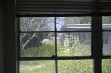 Enlarge photo 31
