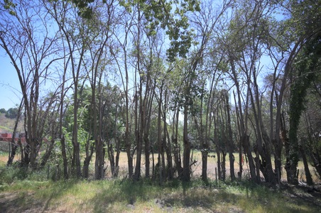 Enlarge photo 188