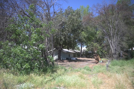Enlarge photo 192