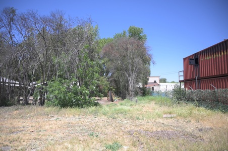 Enlarge photo 193